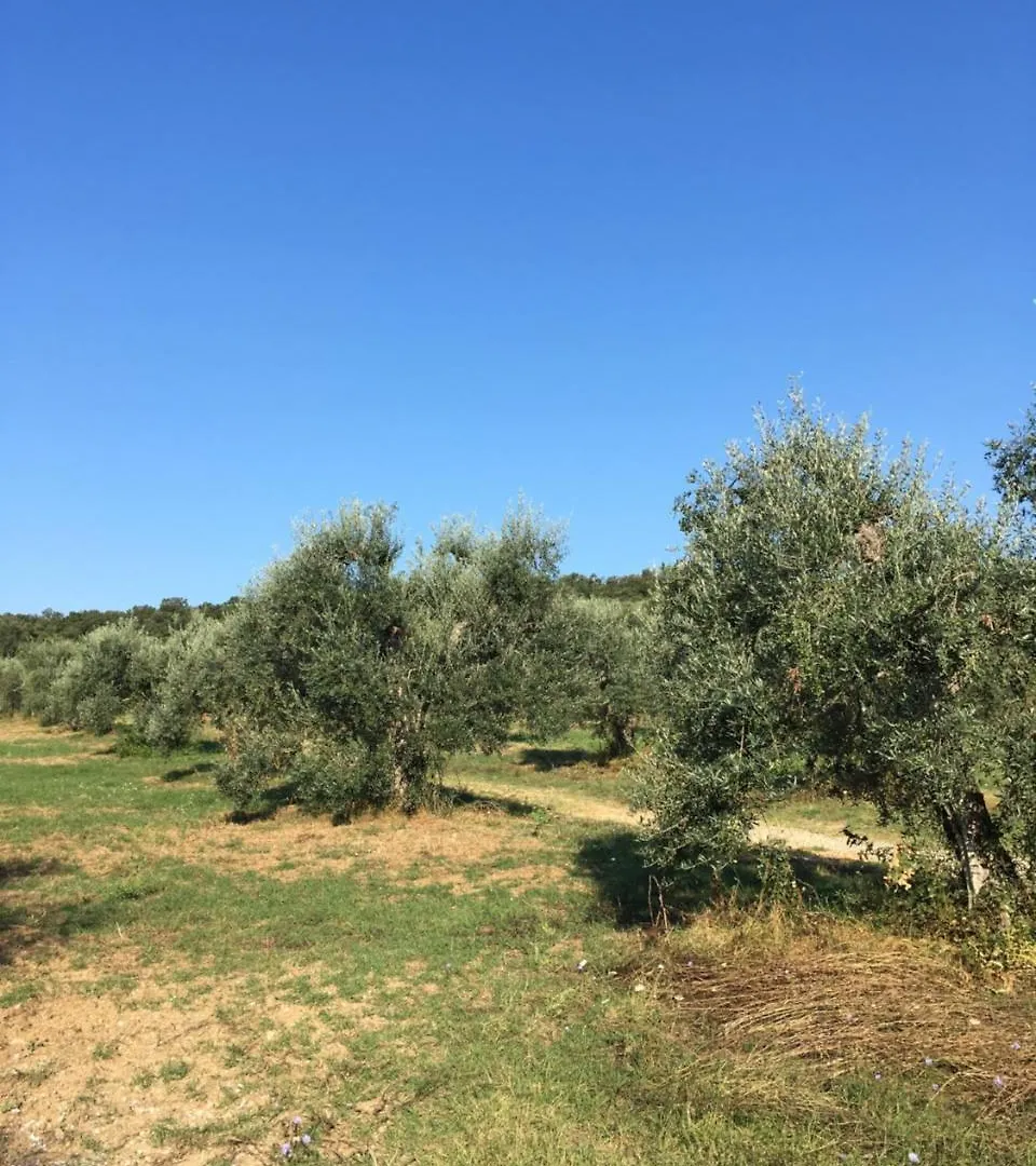 Il Bettarello Villa Roccastrada 0*,